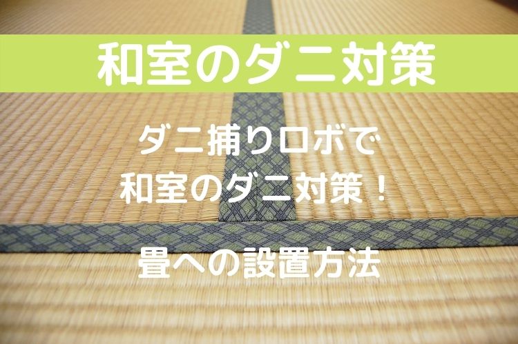 ダニ捕りロボで畳のダニ対策 正しい置き方解説 快眠ふぁみりーblog